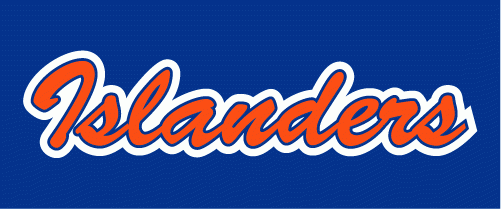 New York Islanders 2008-2017 Wordmark Logo t shirts iron on transfers